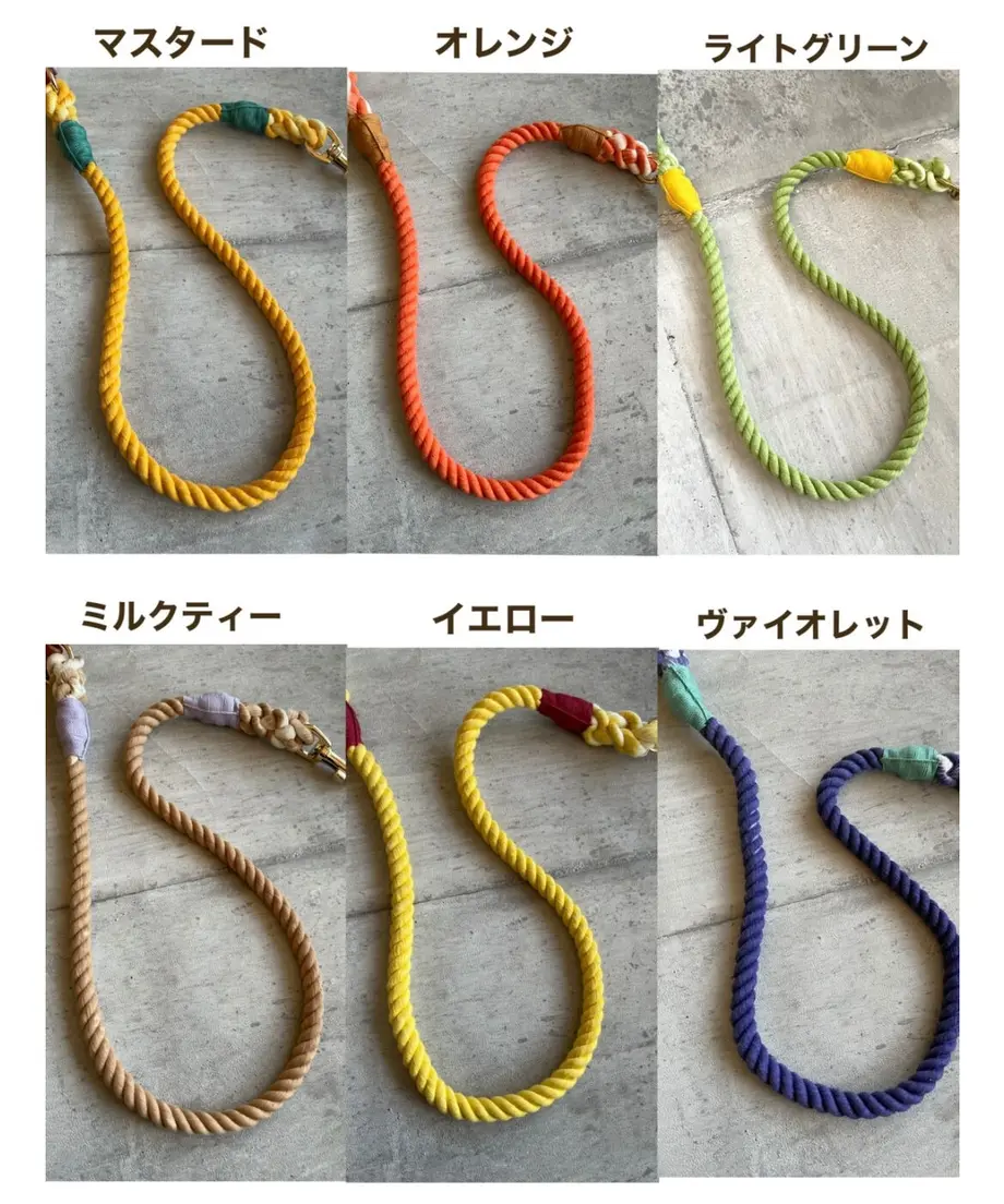 62865336bc8f392a0afe554a