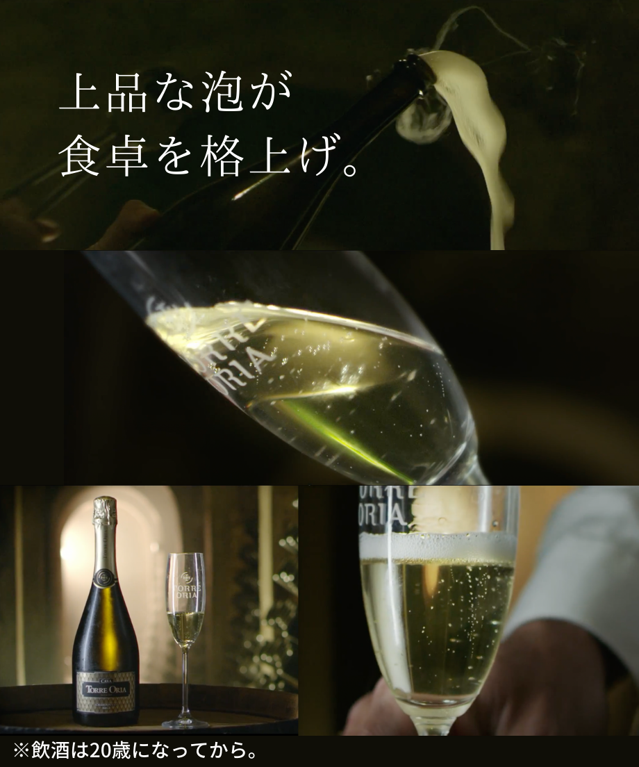 6081013ce70dc412d6967f75