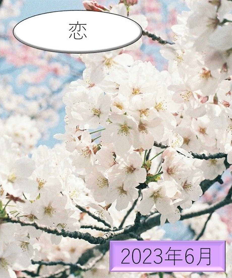 63b310b944054218406e1258