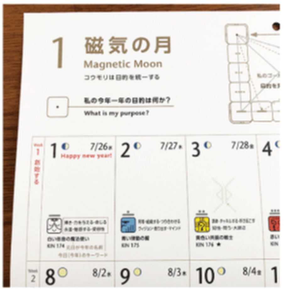 6482ff48d49326005a300fe3