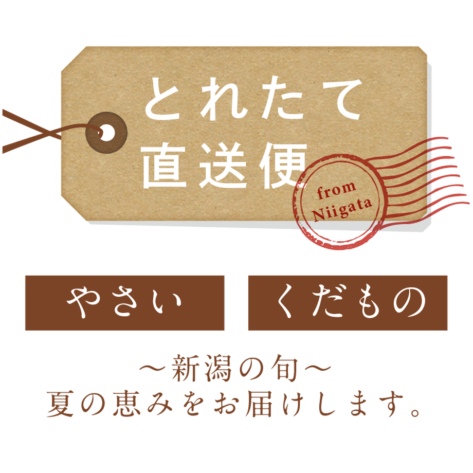 5cf86fbfadb2a163521405fe