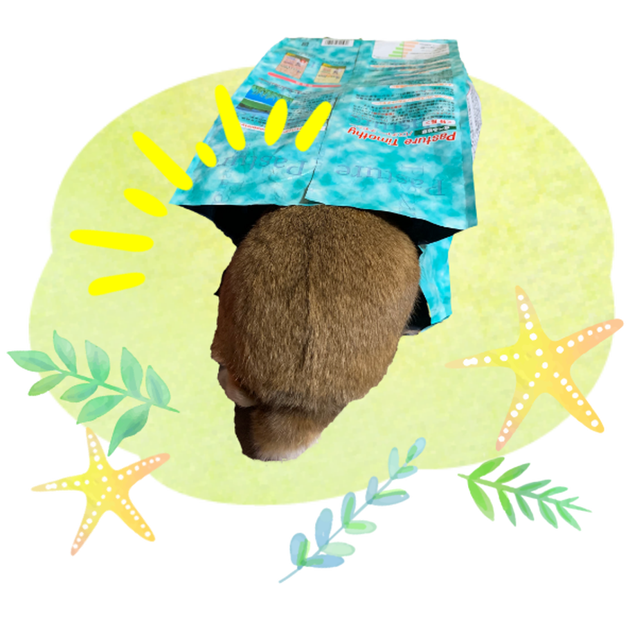 5d34994b66d86c0baa7e7efc