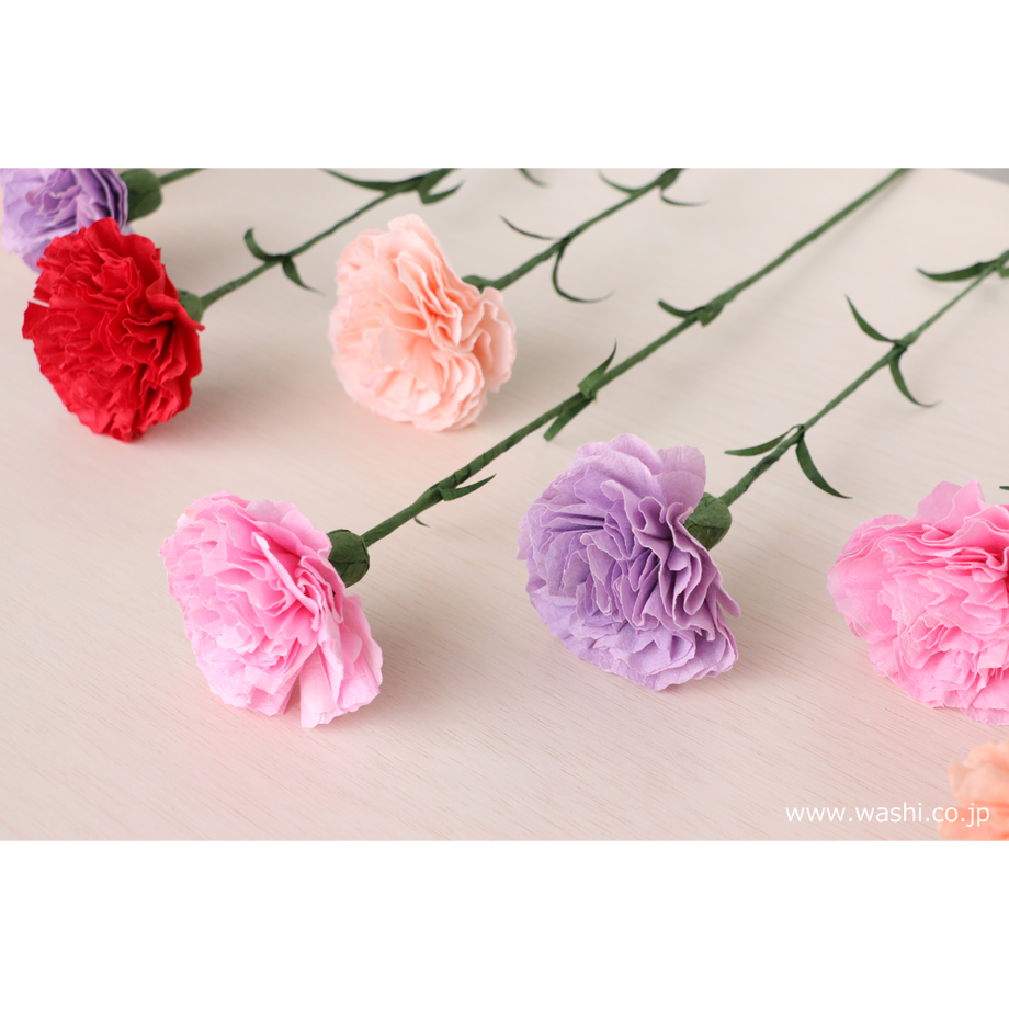 5cb7f306adb2a11b68319b01