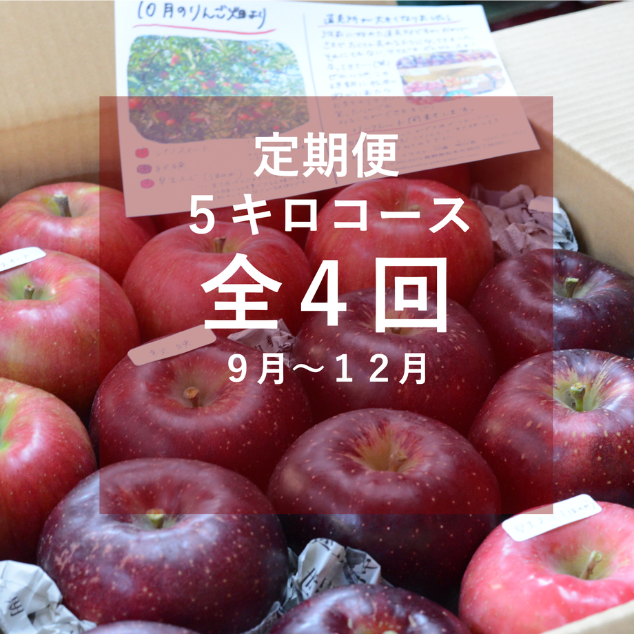5ffd32c48a457268c85320e8