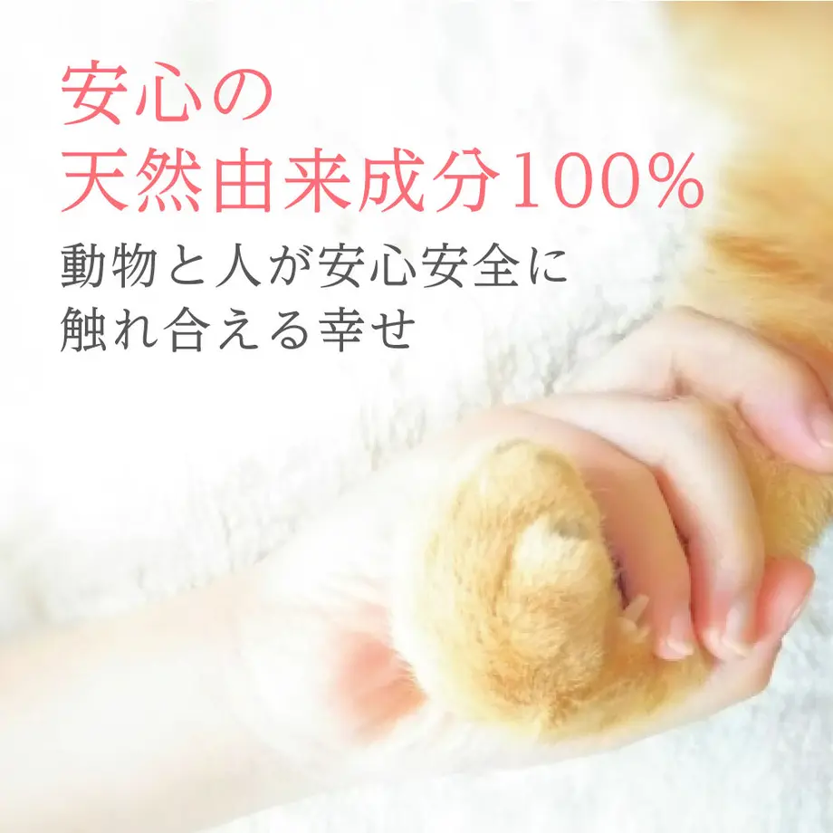 60b4cb0a50a48a3ea334d25c