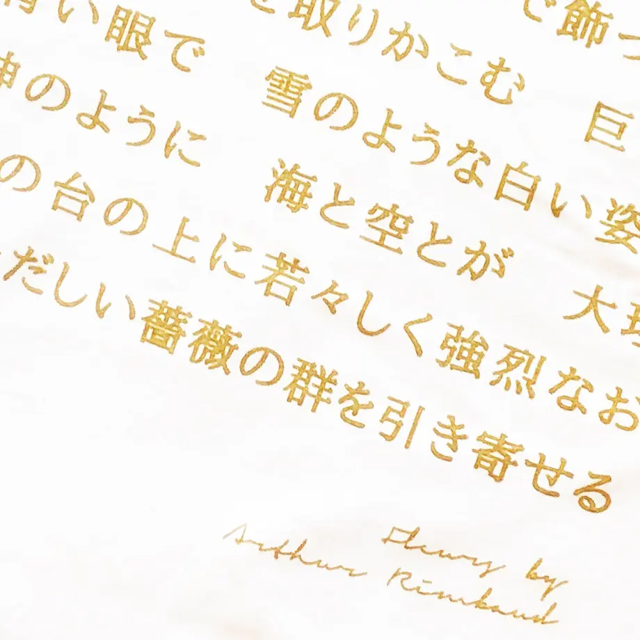 5fcce5098a45727e5f3e6701