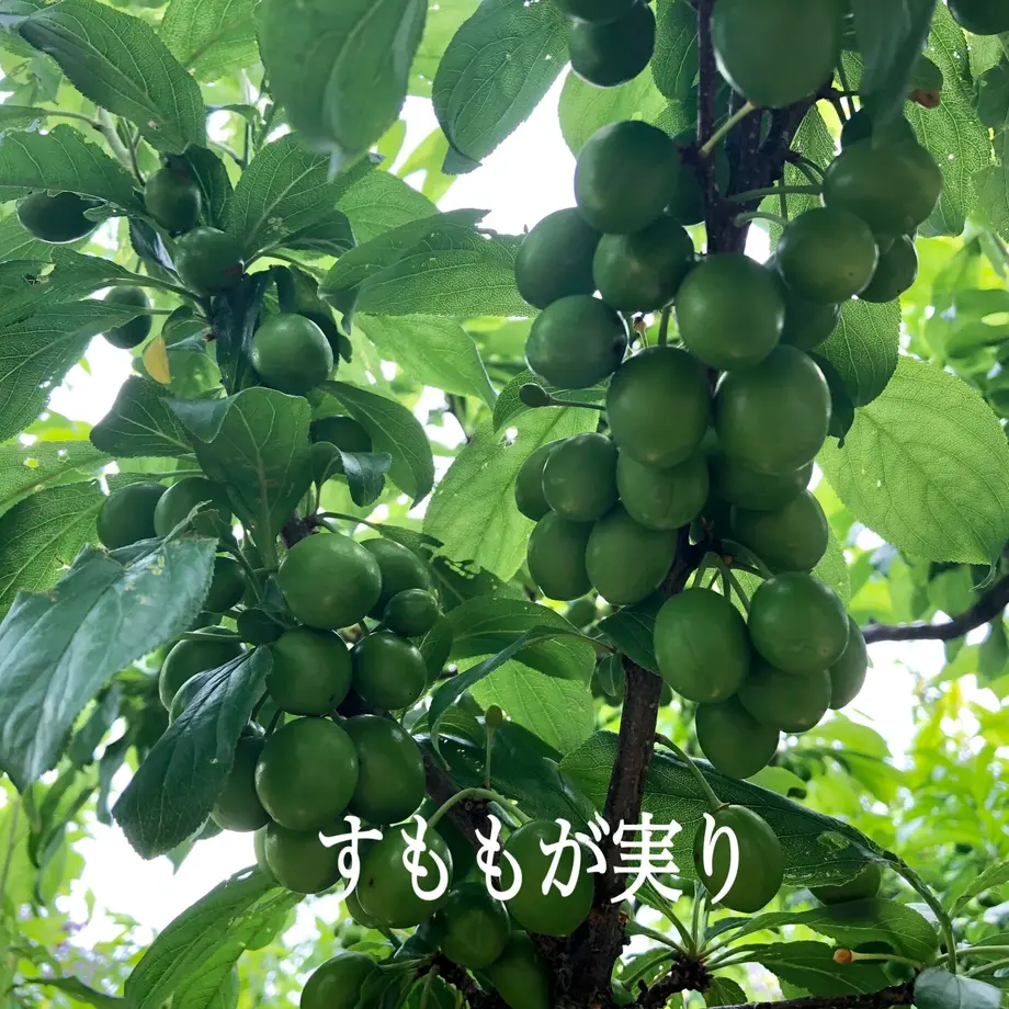 60e171a0ec877118e18a18d2