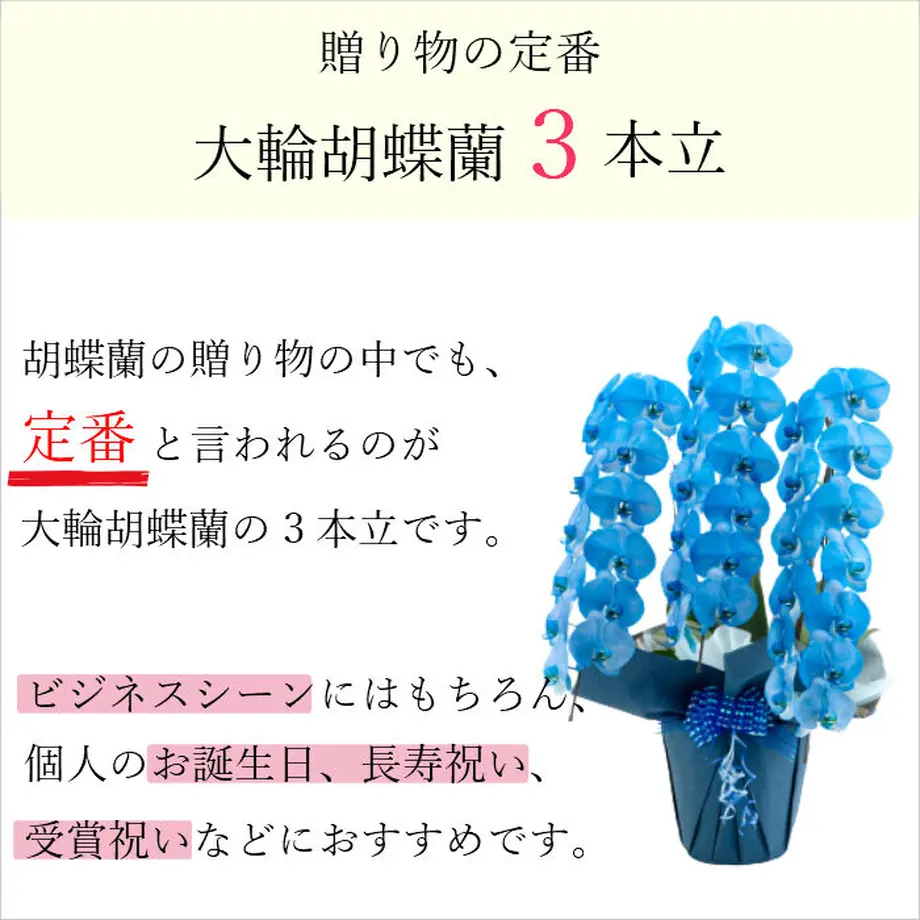 60598bb9d263f03b068b13ba