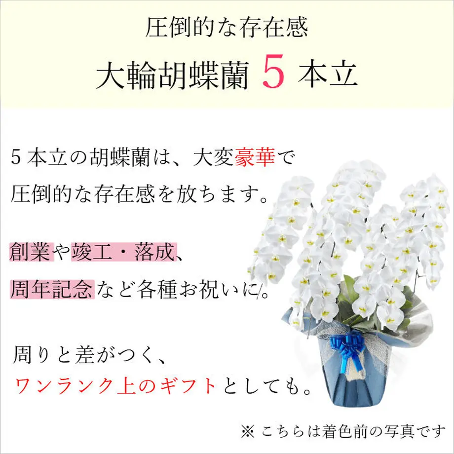 605994271e746b7d93900bb7