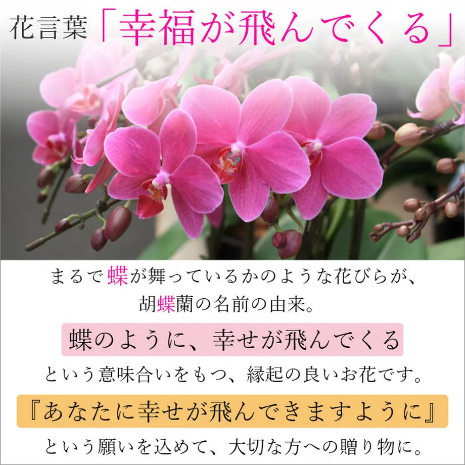 5b41aea1ef843f7bed0008c7