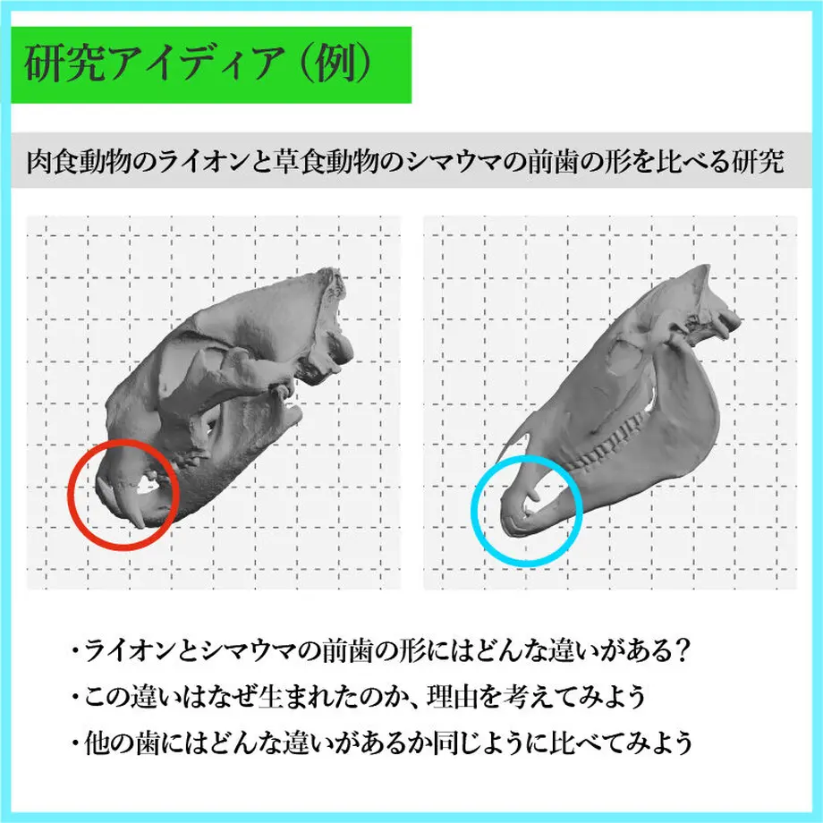 60f76e49bc1e6440bb50200d