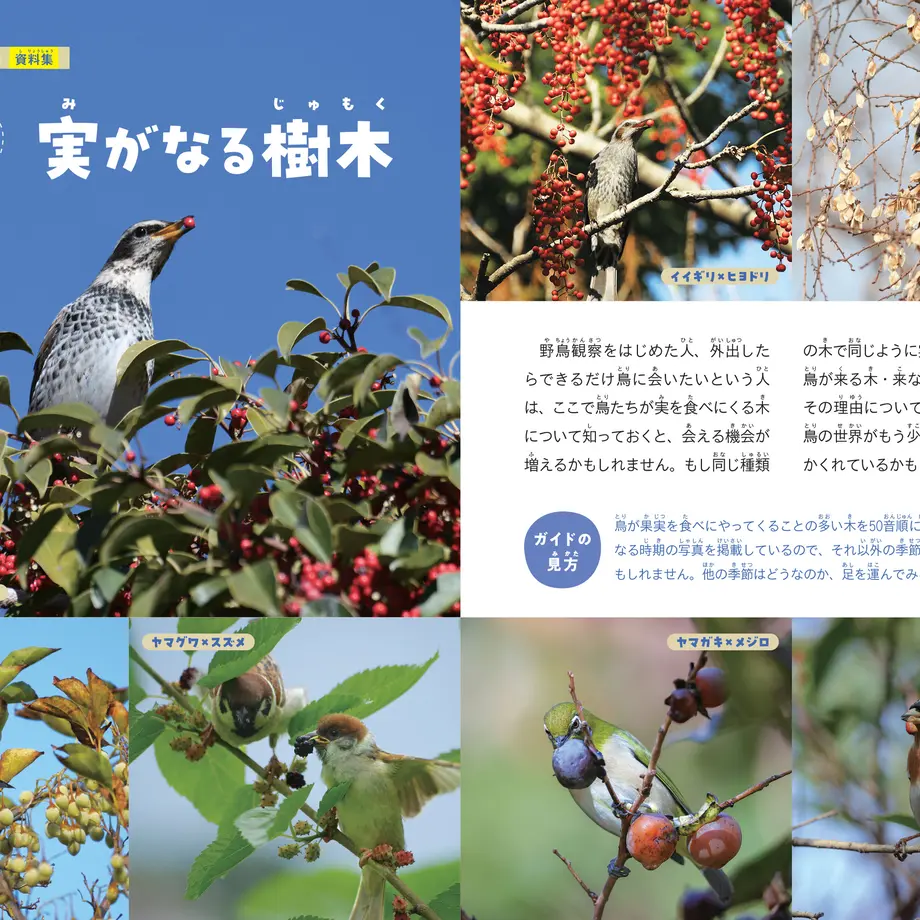 641ab669d356f7002b719daf