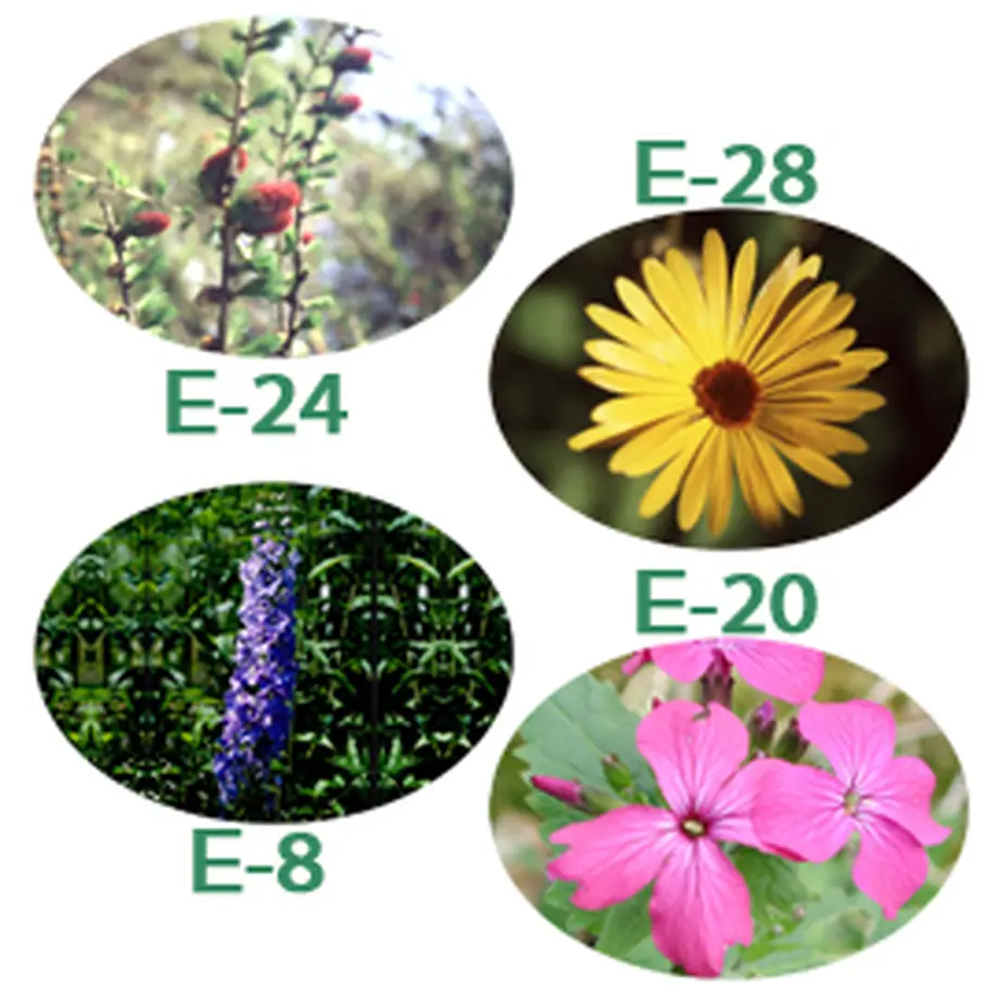 5c40267bb504f54de701818f