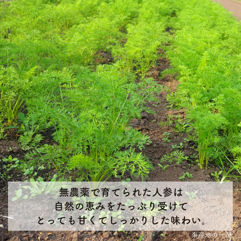 597dde34b1b619486100b5d5