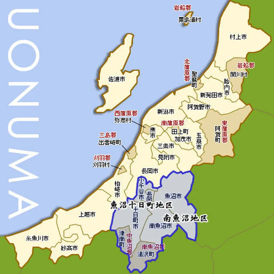 5f3bddff223ead557342211b
