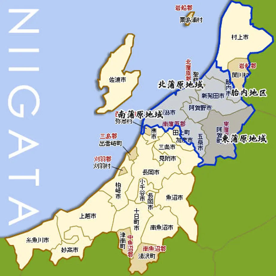 6168ebb61bfe19151b790158