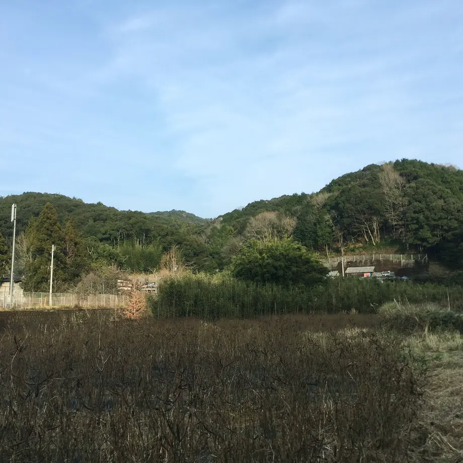 5d9b3416745e6c79a5280233