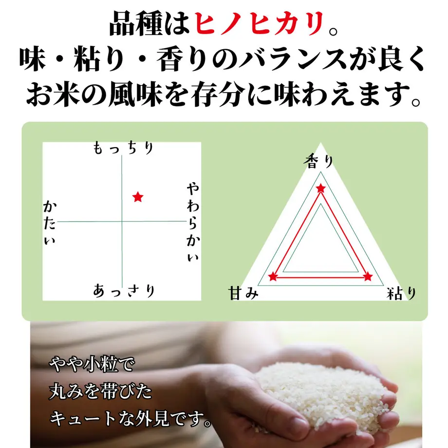 5bda40ba5f786618d500026d