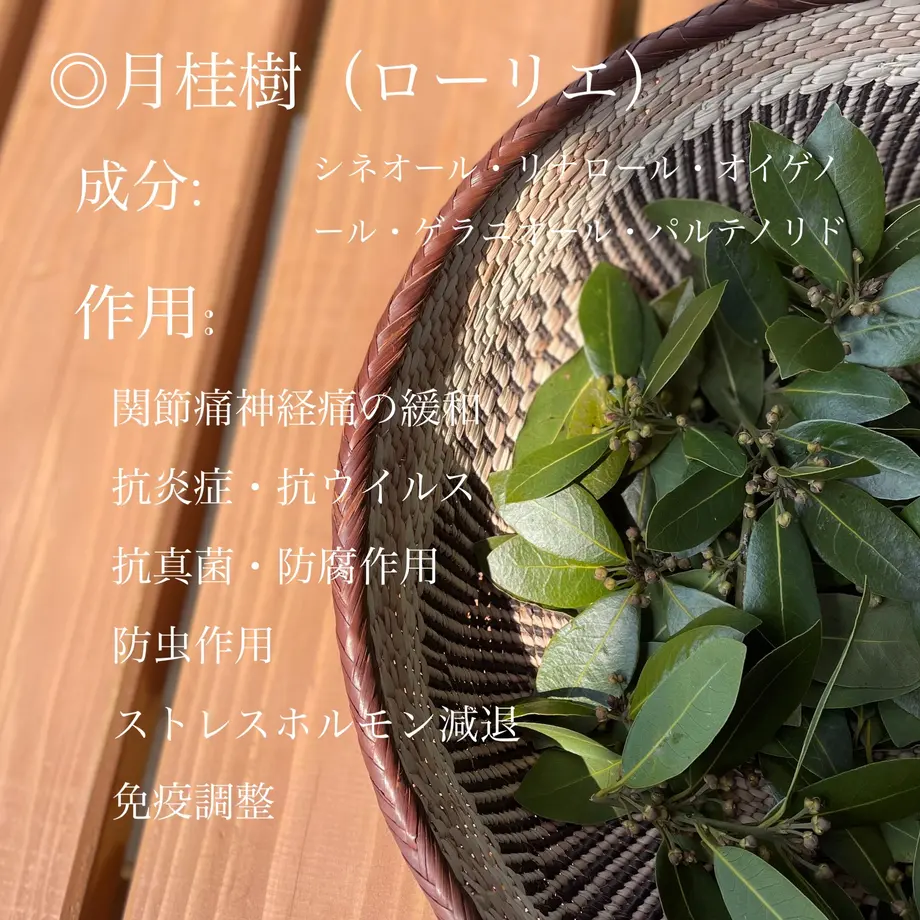 61ee51f9423f6a516197f766