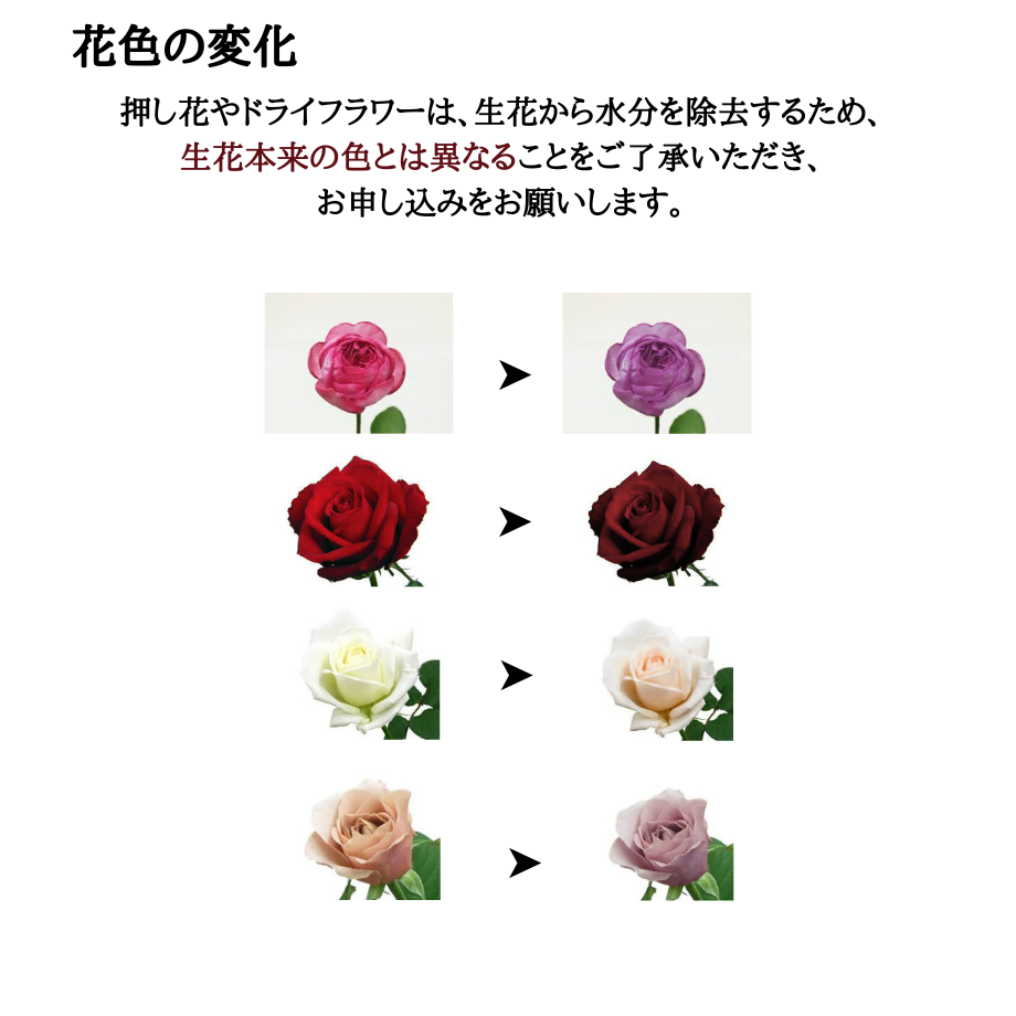 6112173f2023973511d628ad