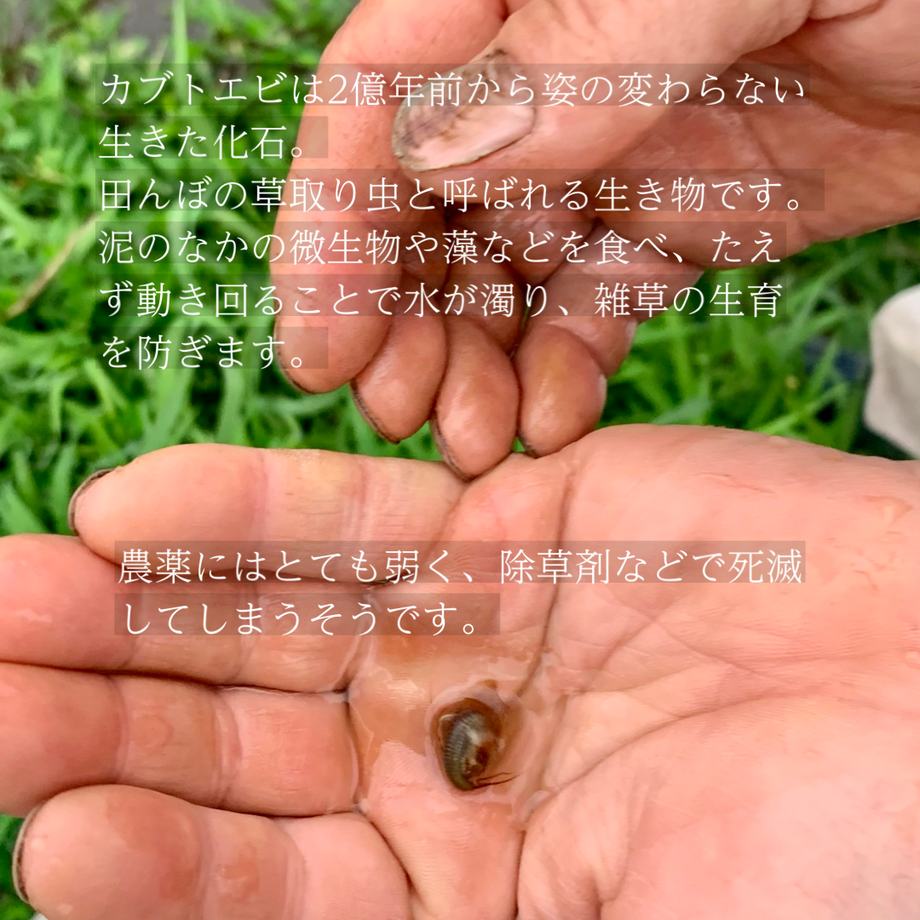 6388a41441e8c010b5b6eb8e