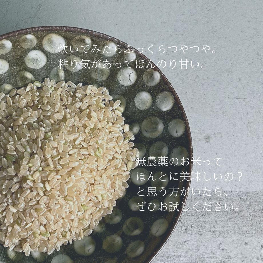 6388a41441e8c010b5b6eb8e