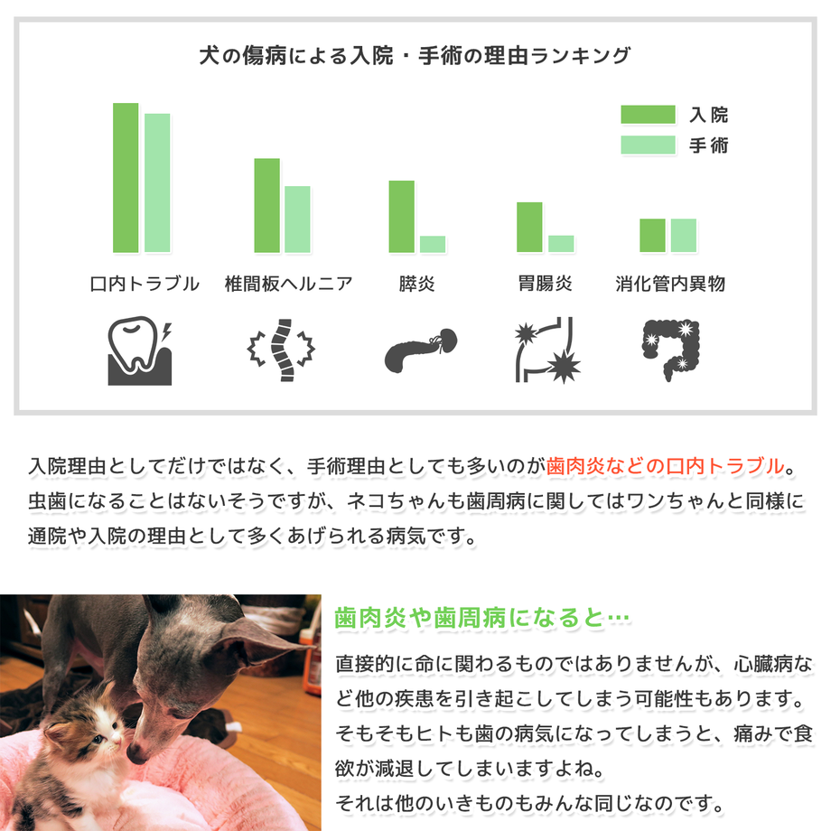 5fc301a88a45724dc27117ca