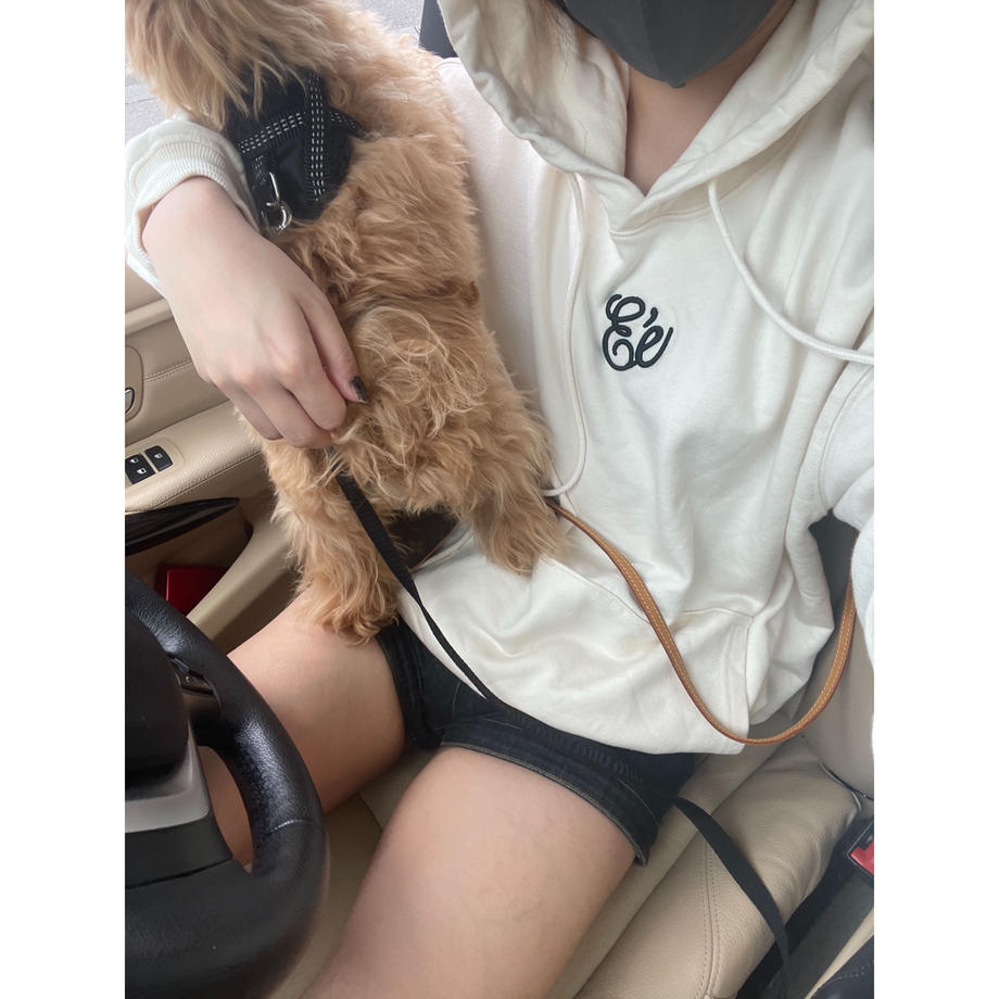 5cf8ecbe054c245644ff69b7