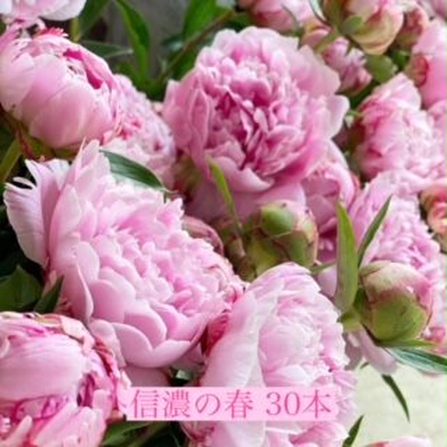 625f4e7e08e5e26e315a7fcc