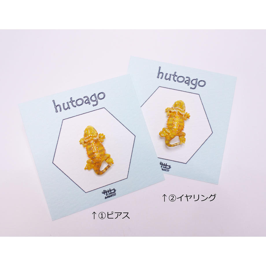 5c52cfafe73a254c9945b9dc