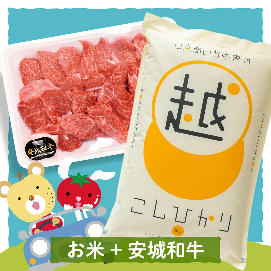 646b35b454311b003080fb37