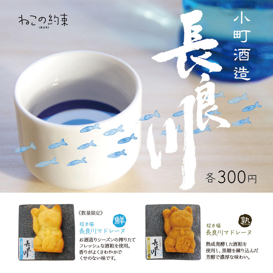 6466ee9db859d3002b2553b7