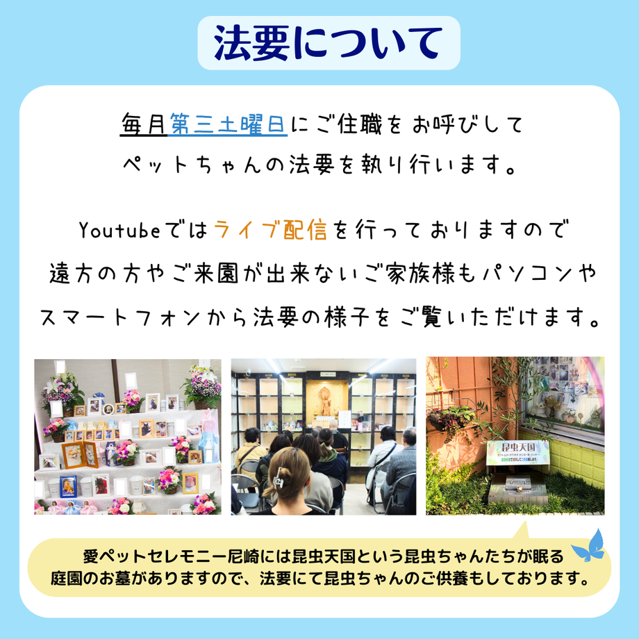6243ffc5bfe68b766763ebb8