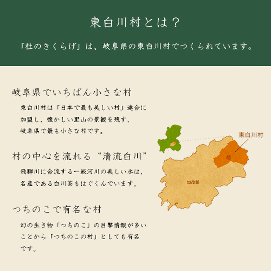 5ec2325334ef012f61f3da11
