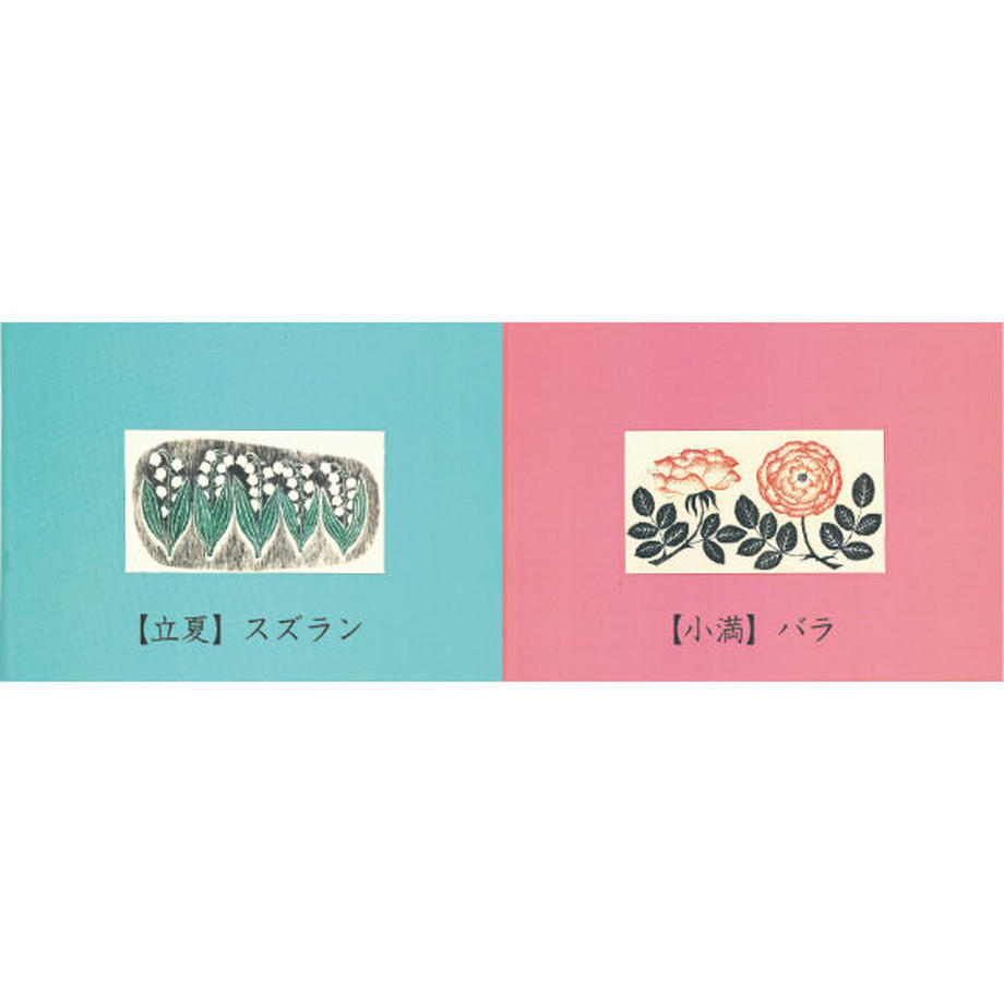 6385cc911c61f6156502a1bd