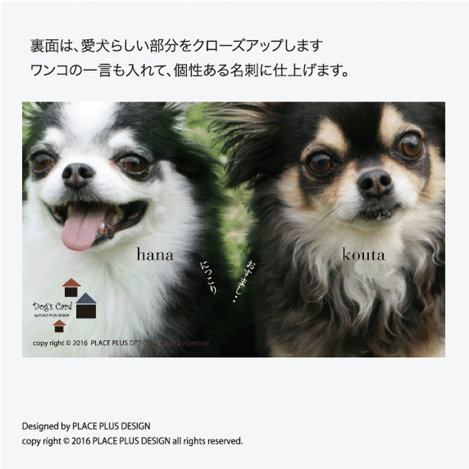 57a4b6dda458c0ffc2007f39