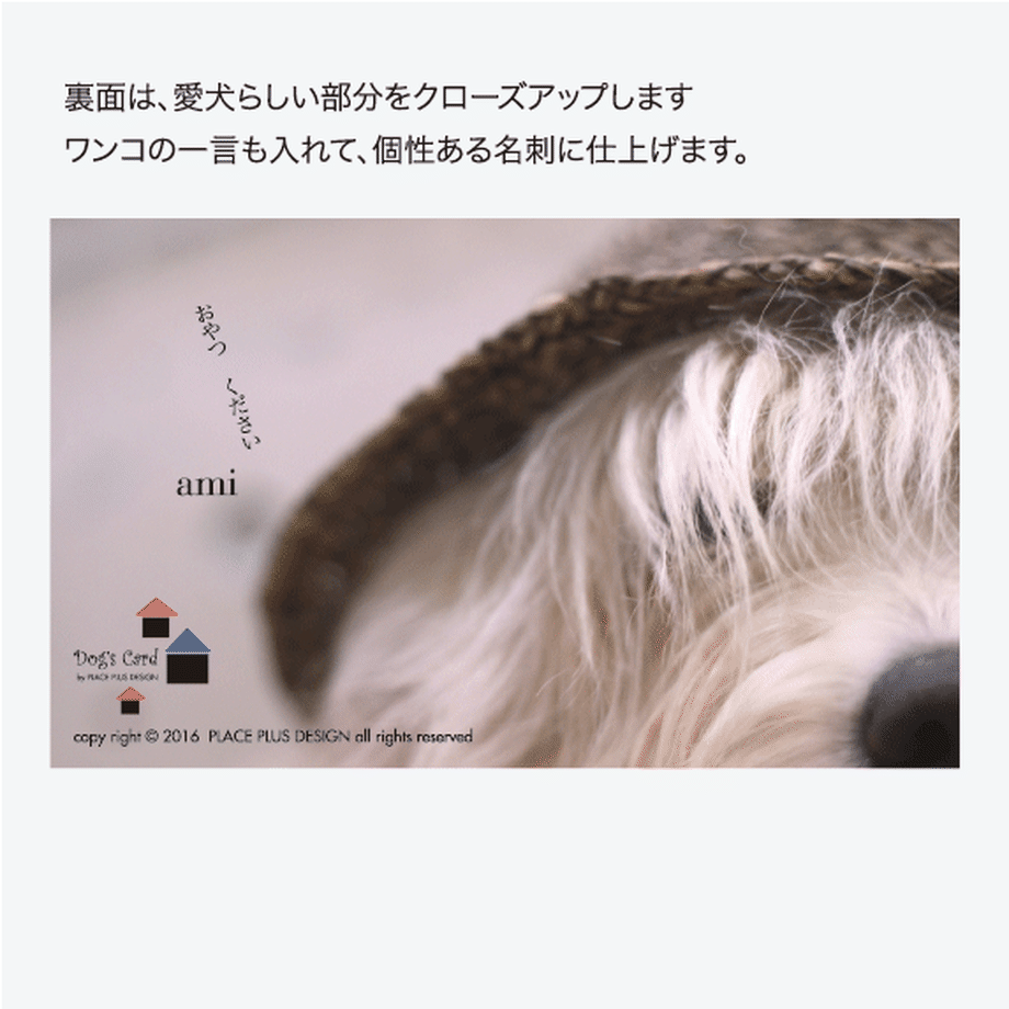 57a608ad9821cc9c94007a37