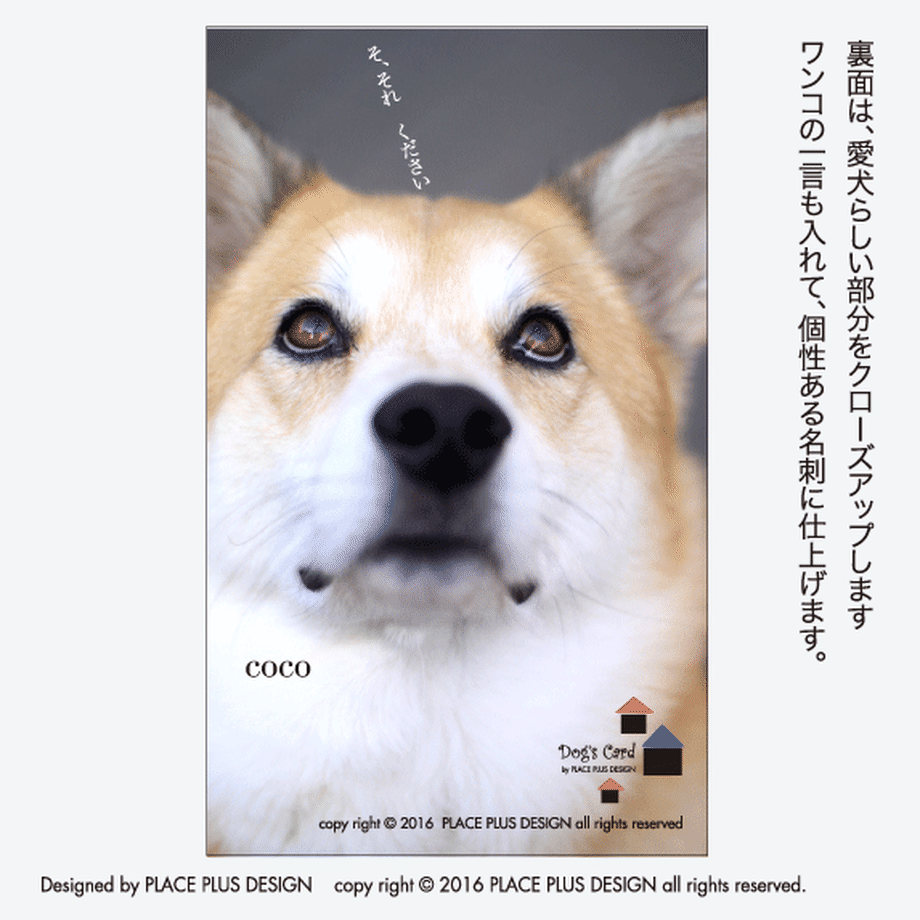 57a610f699c3cdacdf0096d5