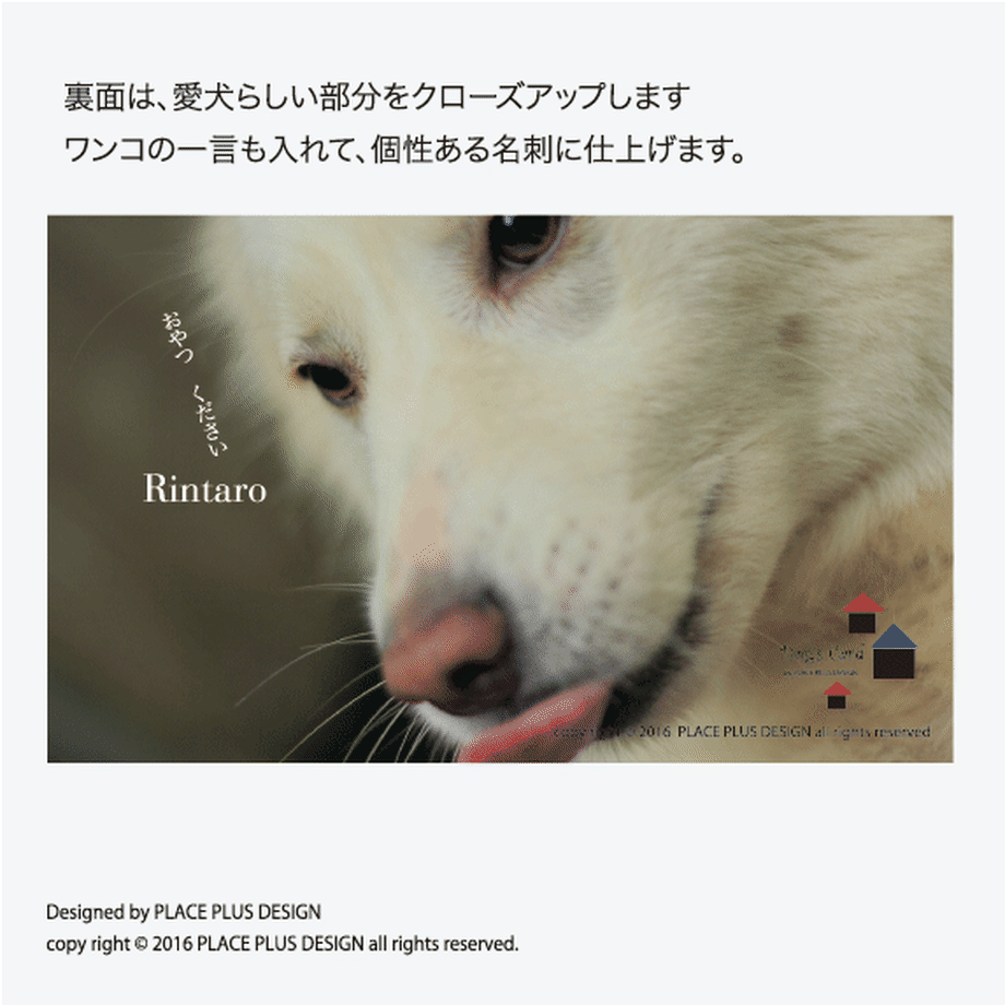 57a611be9821cc9c94007c84