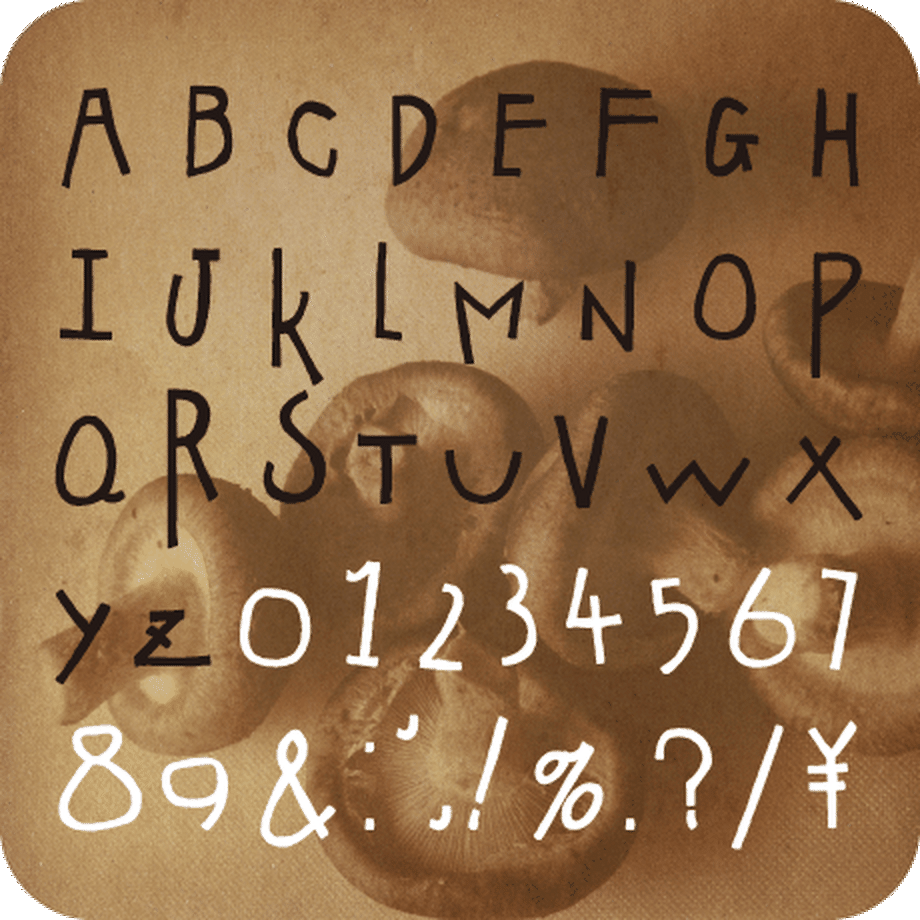 53b168293e7a4ab02a0003f5