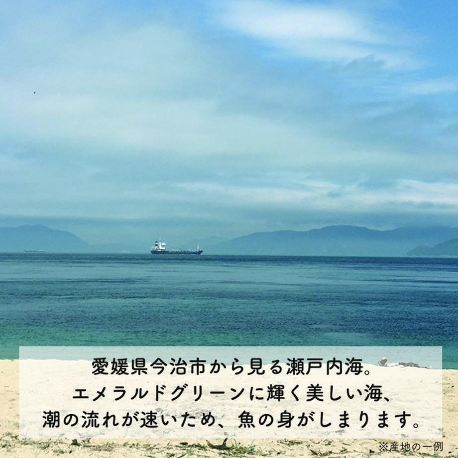 5e29c11994cf7b176101b816