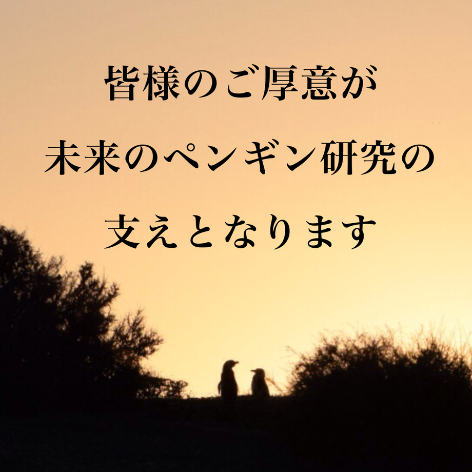 63e68b4a62239655103cde7b