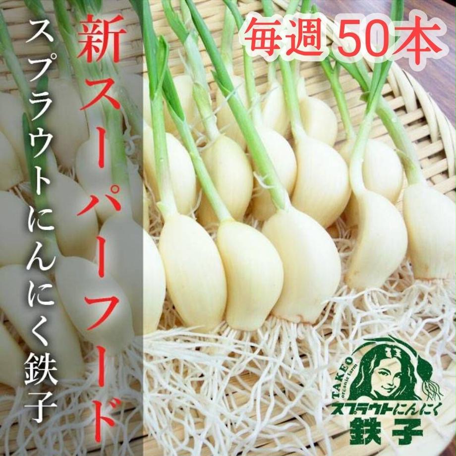 616e244f1bfe195b2fa643bc