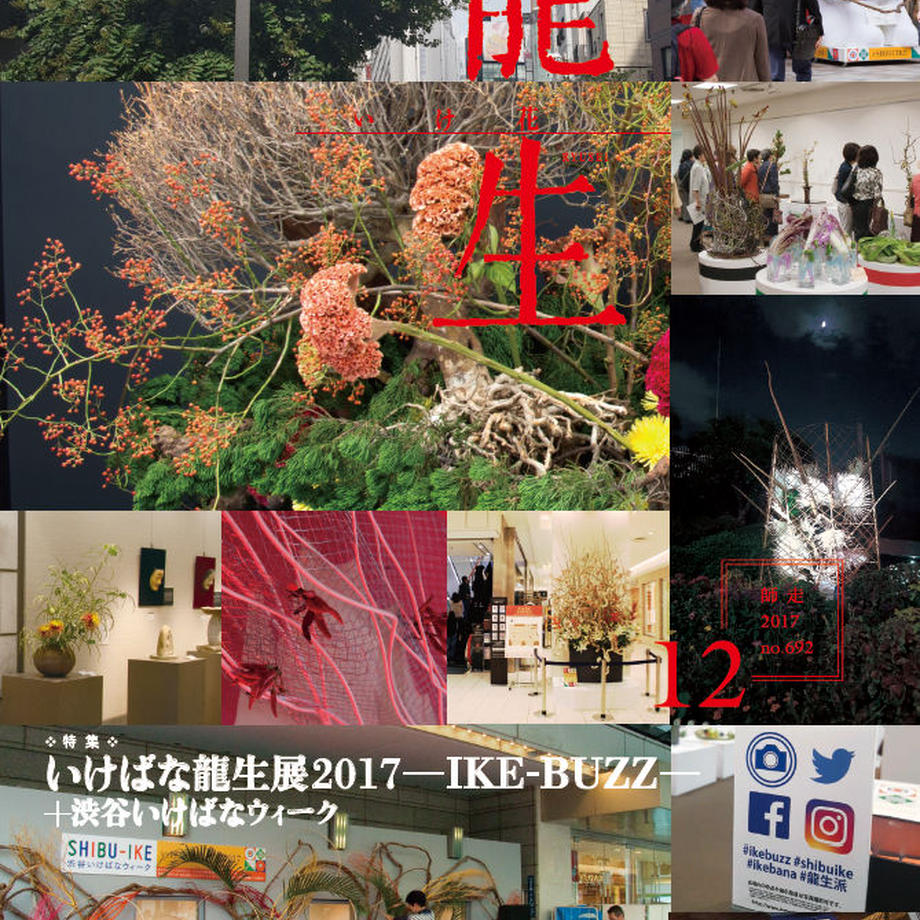 5a20cdbbf22a5b24720009ad
