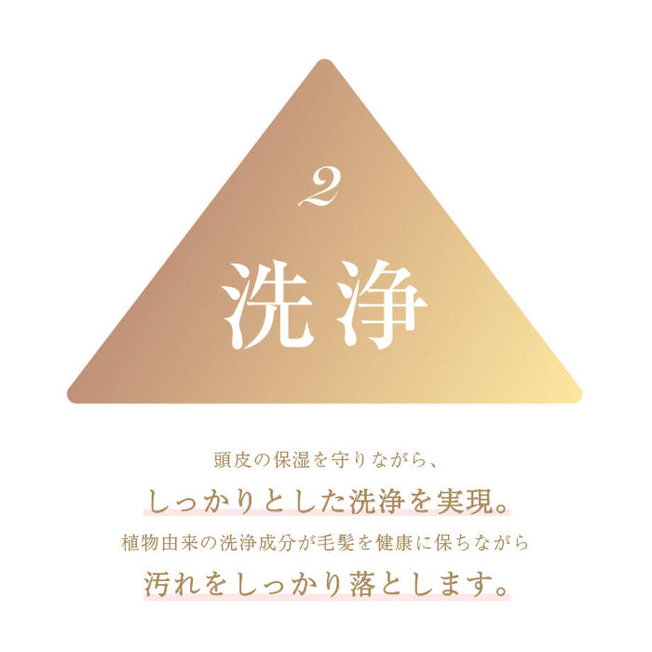 58511bc5a458c0c4d50076ed