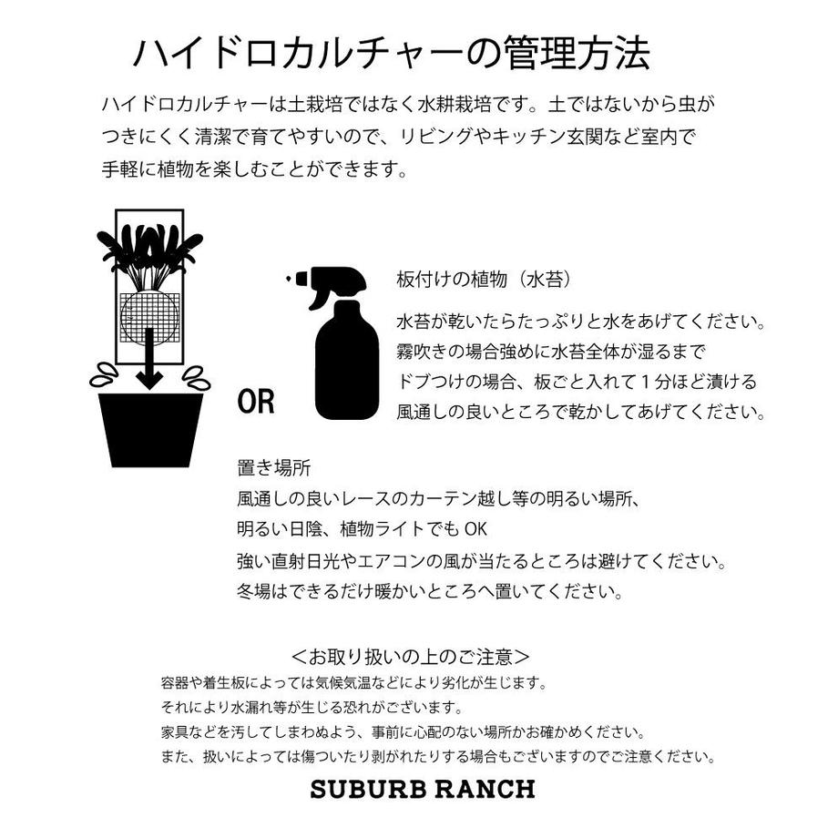 6450d2298d1e7d008099c630