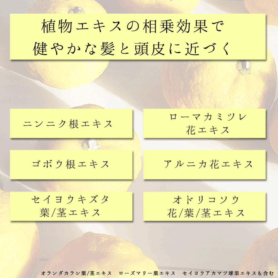 5dd7a64951940c59437f3066