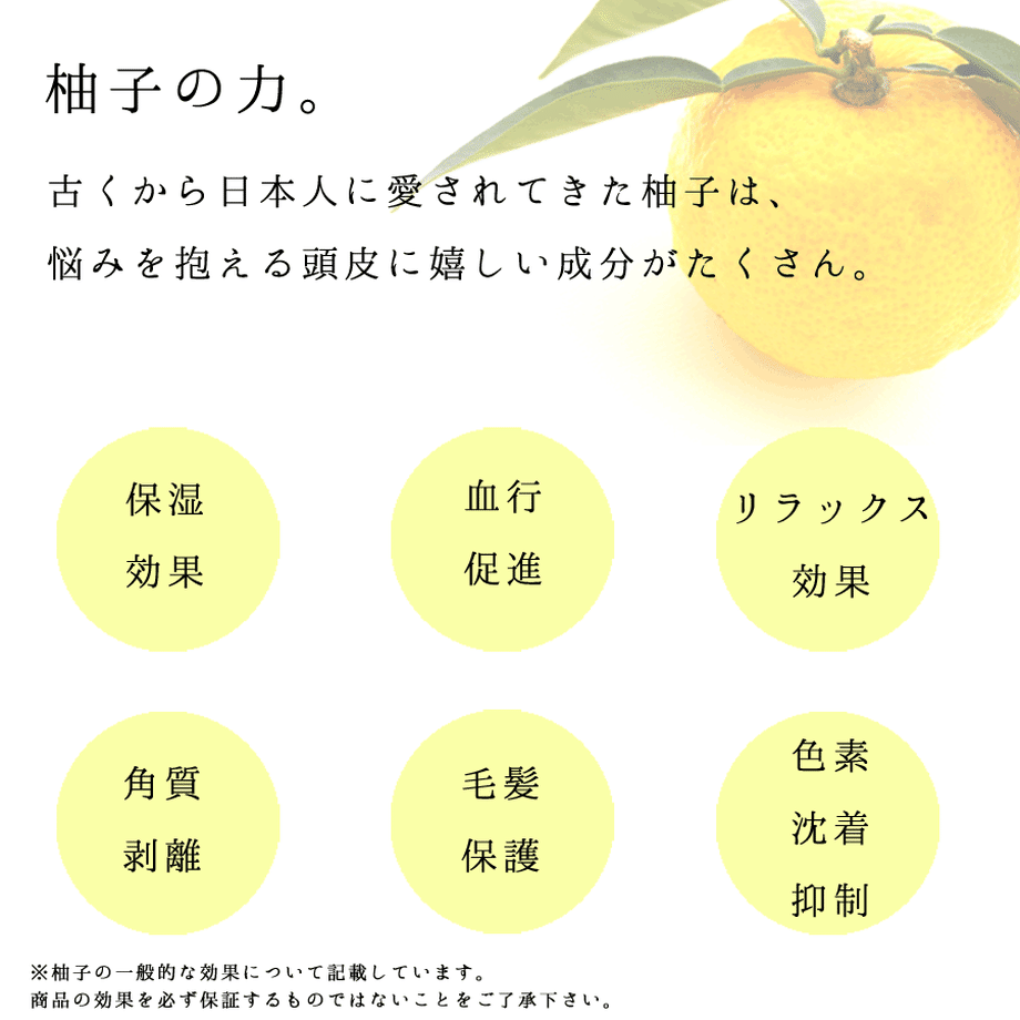 5dd7a64951940c59437f3066