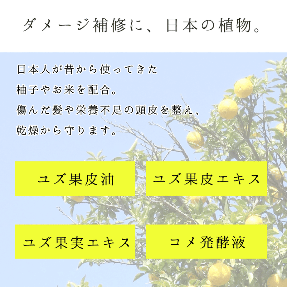 5dd7a64951940c59437f3066