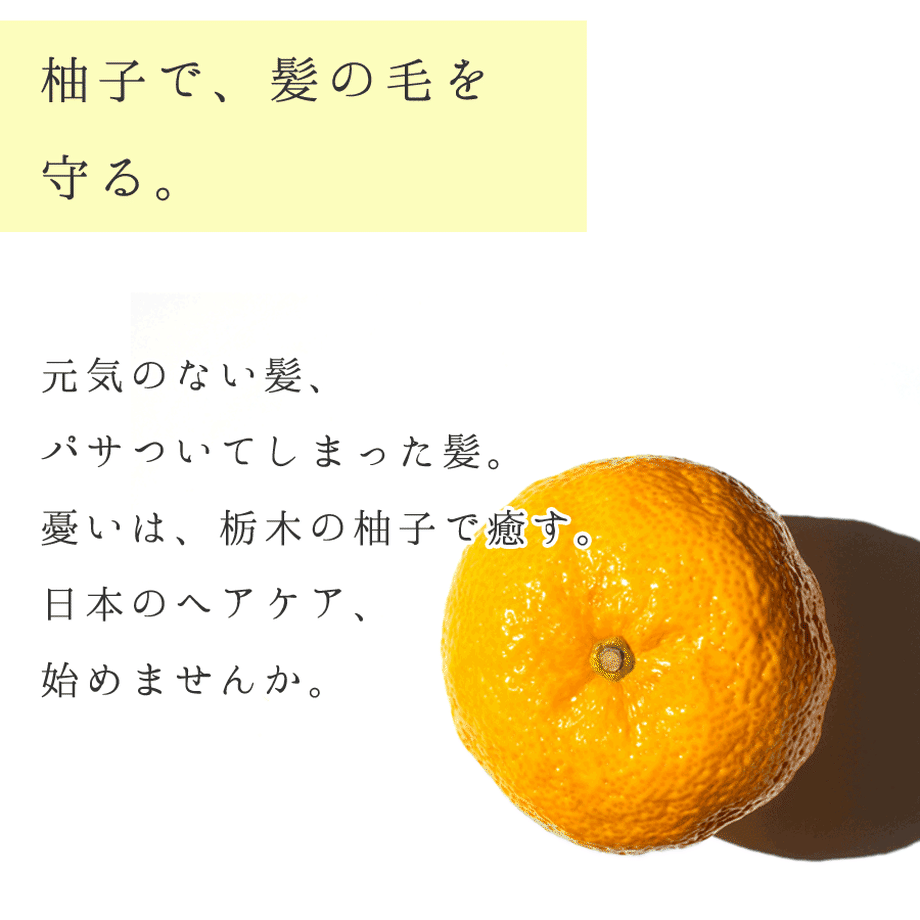 5dd7a64951940c59437f3066